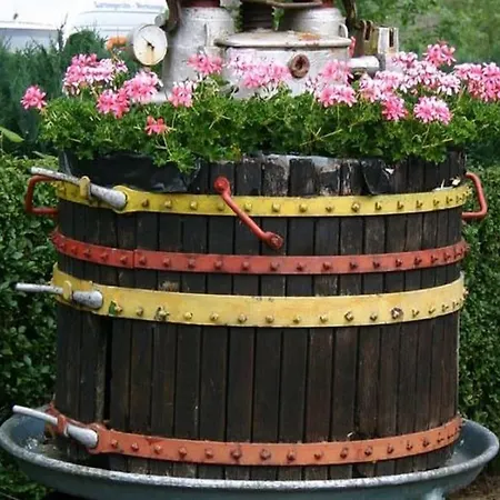 In In The Countryside Moselkern